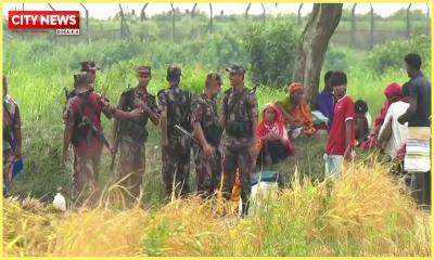 দেশের বিভিন্ন সীমান্তে পুশইনের চেষ্টায় বিএসএফ, কঠোর অবস্থানে বিজিবি