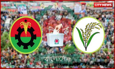 স্থানীয় সরকার নির্বাচনে বিএনপির বড় চ্যালেঞ্জ একাধিক প্রার্থী