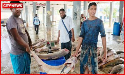 এক ট্রলারে ধরা পড়ল ২৮ লাখ টাকার লাক্ষা