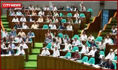 জাতীয় মানবাধিকার কমিশন ও গুম প্রতিকার বিল পাস