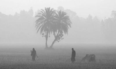মঙ্গলবার থেকে তীব্র শৈত্যপ্রবাহের আভাস, তাপমাত্রা নামতে পারে ৪ ডিগ্রিতে