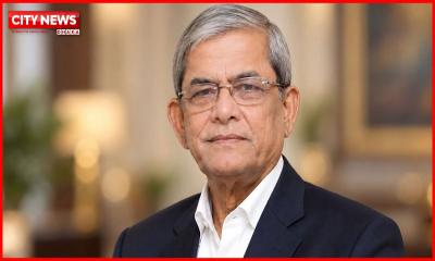 গণতন্ত্রকে শক্তিশালী করতে হলে স্থানীয় সরকারকে শক্তিশালী করতে হবে: রাষ্ট্রপতি