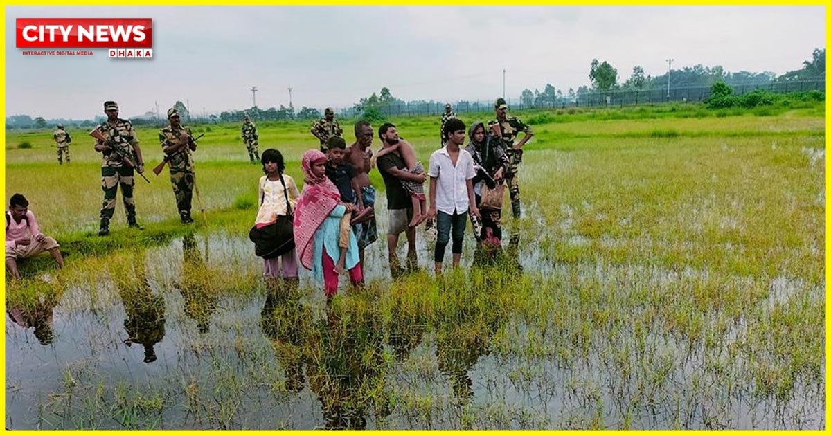 দেশহীন অপেক্ষা, সীমান্তের আইলে মানবতার দীর্ঘশ্বাস