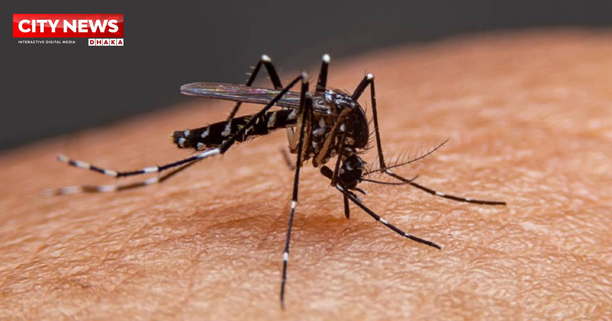ডেঙ্গুতে আক্রান্ত হয়ে ৫ জনের মৃত্যু, হাসপাতালে ভর্তি ৩১১