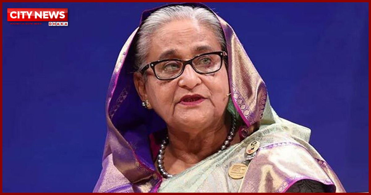 আন্দোলনে ‘আহতদের খোঁজ মেলেনি’, শেখ হাসিনাসহ ১১৩ জনকে অব্যাহতির সুপারিশ