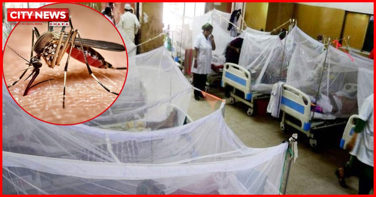 ২৫ দিনেই ডেঙ্গুতে ১১৪ জনের মৃত্যু