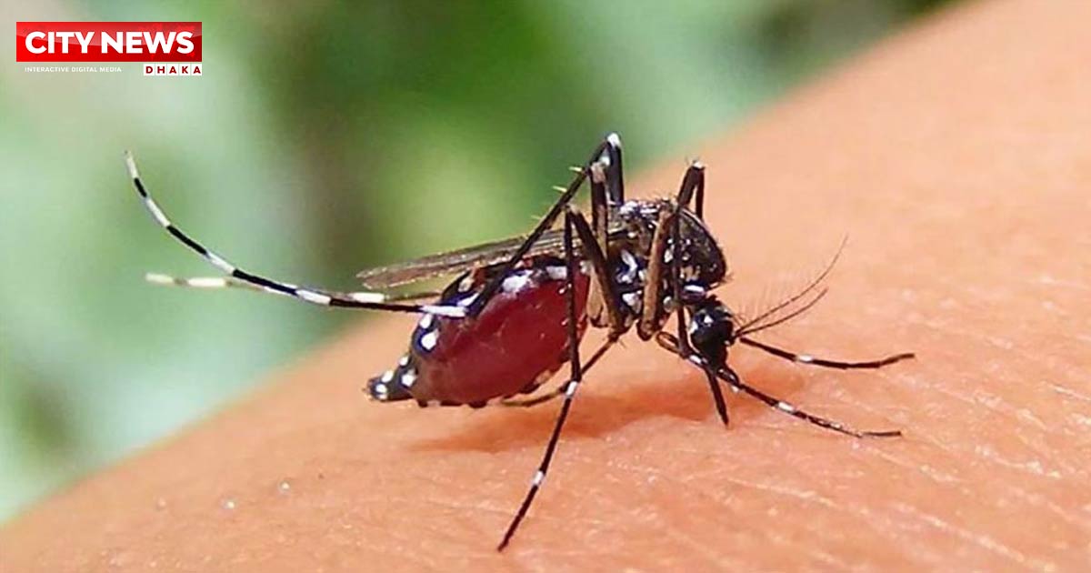 ডেঙ্গুতে আরও ৫ জনের মৃত্যু, হাসপাতালে ভর্তি ১১৪৭ জন