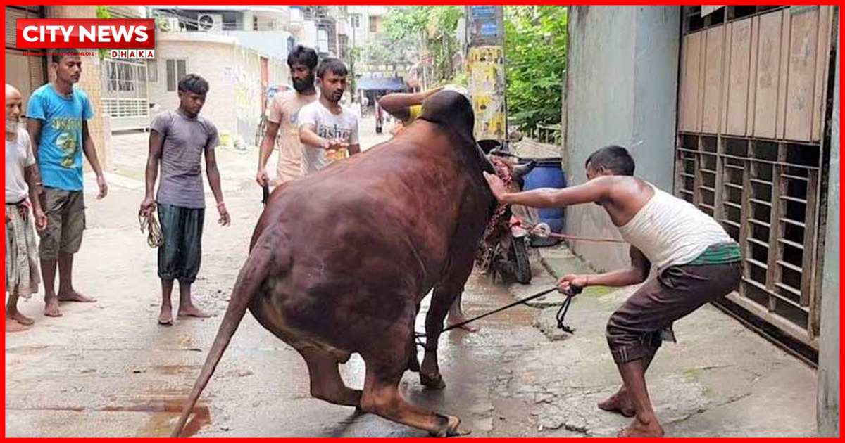 ঈদের দ্বিতীয় দিনেও চলছে পশু কুরবানি