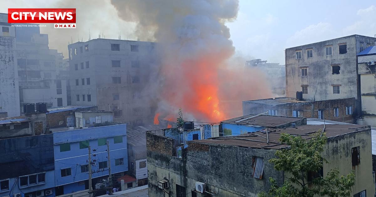 মিরপুরে পোশাক কারখানা ও কেমিক্যাল গুদামে আগুনে দগ্ধ হয়ে নিহত ৫
