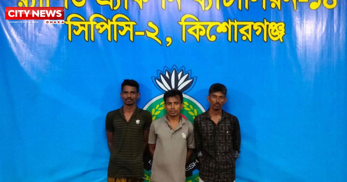 কিশোরগঞ্জে ২৩০ পিস ইয়াবাসহ তিনজন গ্রেফতার