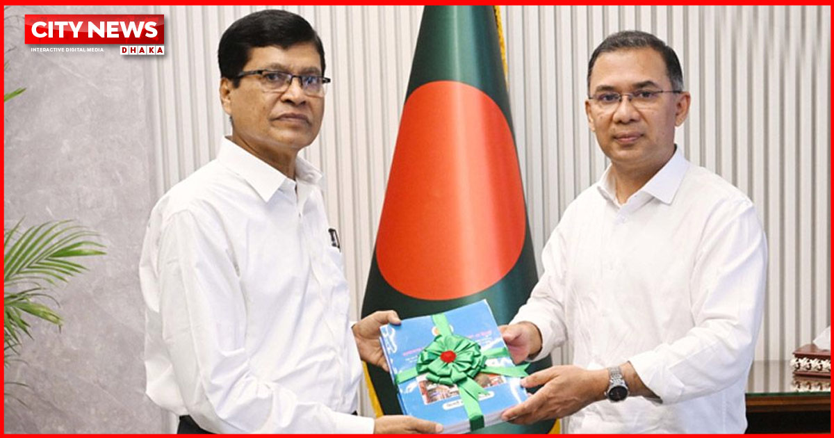 রূপপুরের সেই বালিশের দাম শুনে যা বললেন প্রধানমন্ত্রী