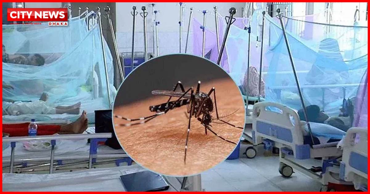 ডেঙ্গুতে একদিনে রেকর্ড ১০ জনের মৃত্যু, হাসপাতালে ভর্তি ১৯৯৬