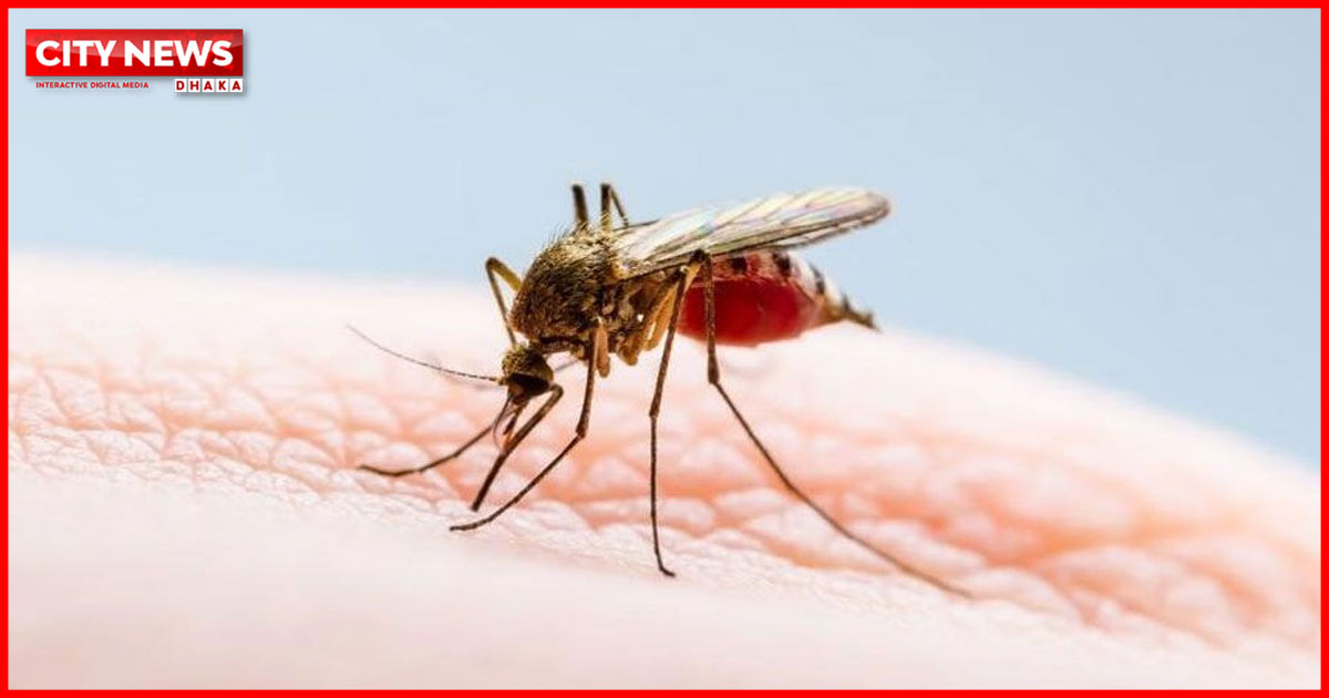 ডেঙ্গুতে প্রাণ গেলো আরও ৪ জনের