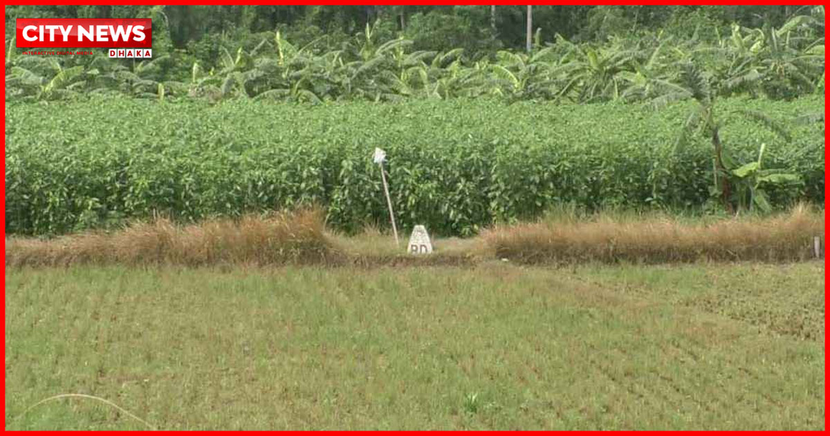 সীমান্তে ১১ জনকে পুশ ইনের চেষ্টা রুখে দিয়েছে বিজিবি