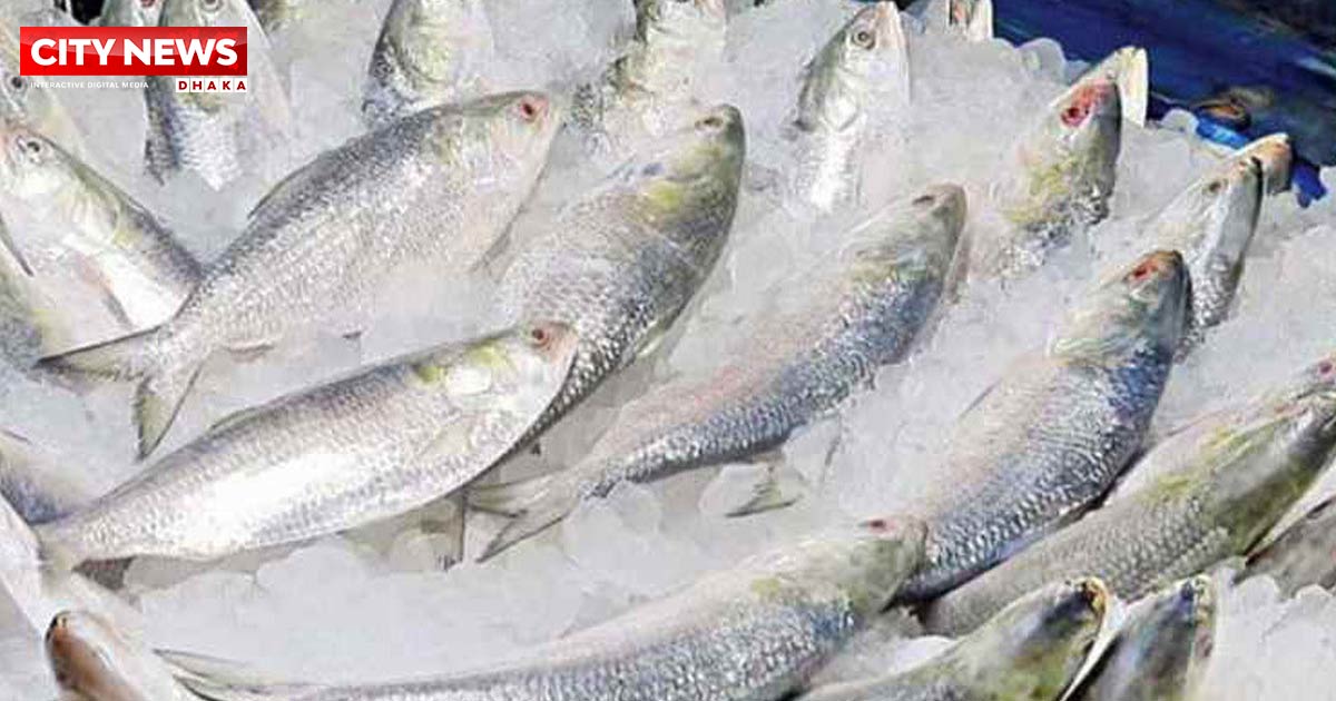 ভারতে ১২০০ টন ইলিশ রফতানির অনুমতি, ১২ দিনে বেনাপোল-আখাউড়া দিয়ে গেছে ১৩৬ টন