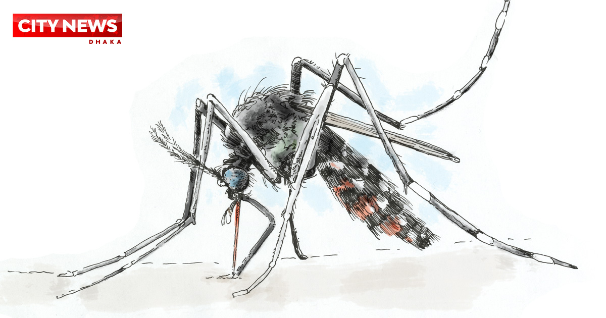 Dengue and Chikungunya Spreading Across Households Nationwide