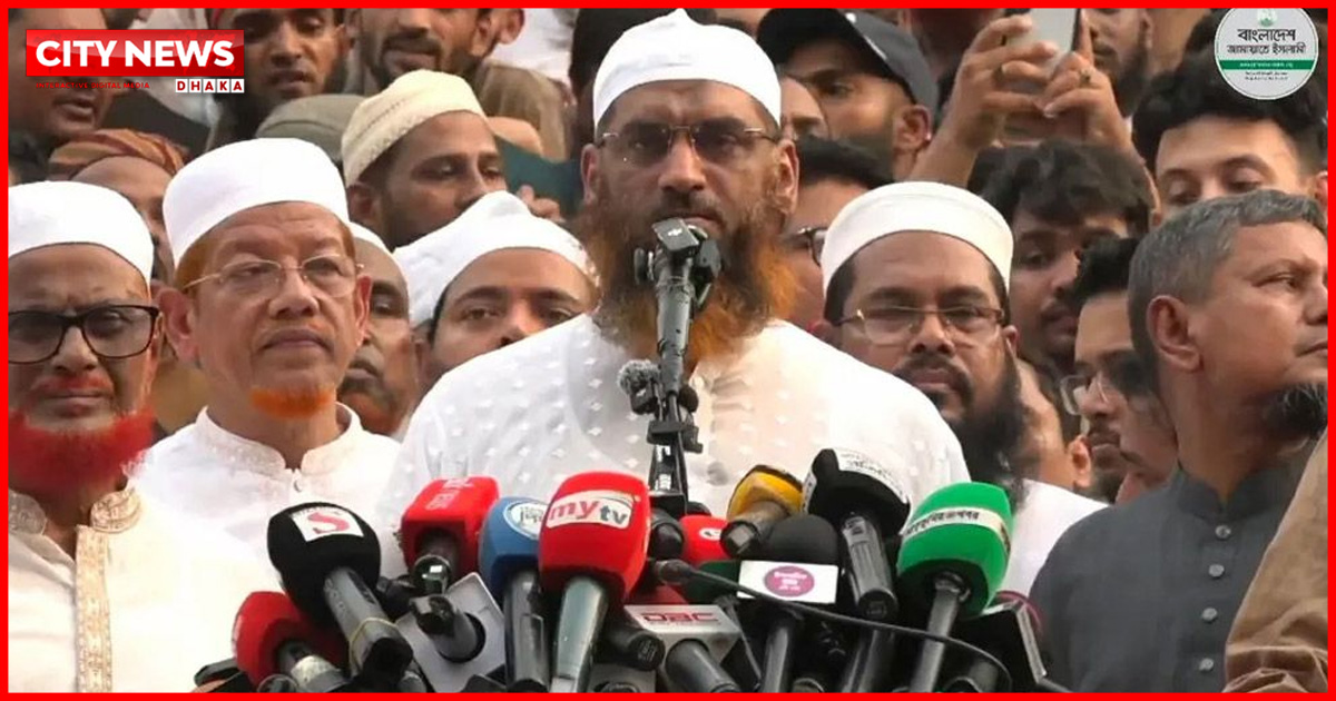 ৭০ শতাংশ জনগণের বিপক্ষে গিয়ে ক্ষমতার মসনদে টিকে থাকা যাবে না: মামুনুল হক