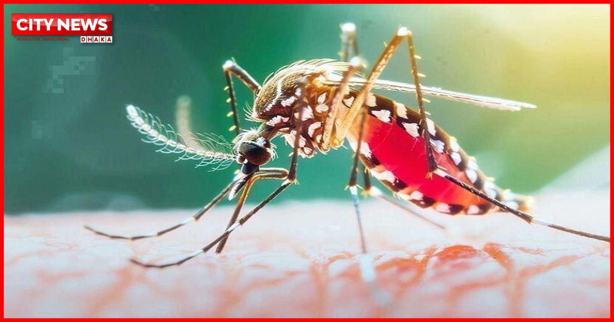 ২৪ ঘণ্টায় ডেঙ্গুতে ৬ জনের মৃত্যু, হাসপাতালে ভর্তি ২ হাজার ১৫৮