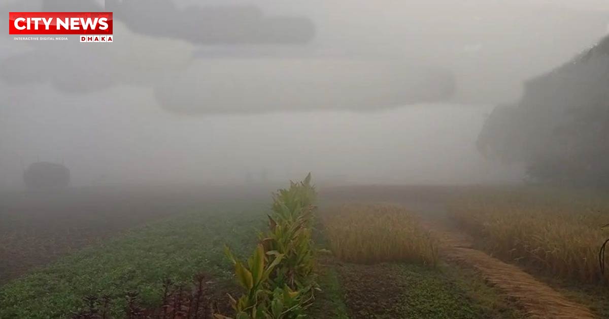 উত্তরাঞ্চলে জেঁকে বসেছে শীত, তাপমাত্রা নামল ১২ ডিগ্রিতে