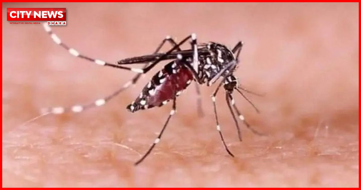 ডেঙ্গুতে ২৪ ঘণ্টায় ৬ জনের মৃত্যু, হাসপাতালে ১৬০৮