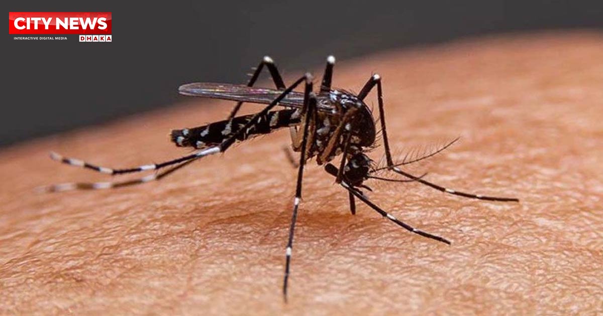 ডেঙ্গুতে আরও ৫ জনের মৃত্যু, হাসপাতালে ১১৬২ নতুন রোগী