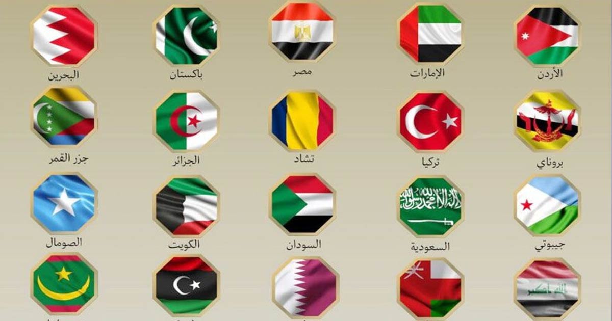 ইরানে ইসরাইলি হামলার নিন্দা ২১ মুসলিম দেশের