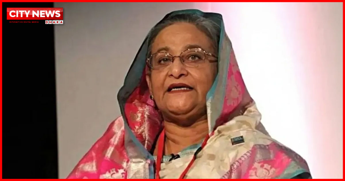 ভারতে বসে রাজনৈতিক কর্মকাণ্ড চালাতে পারবেন না শেখ হাসিনা: সংসদীয় কমিটিকে মোদি সরকার