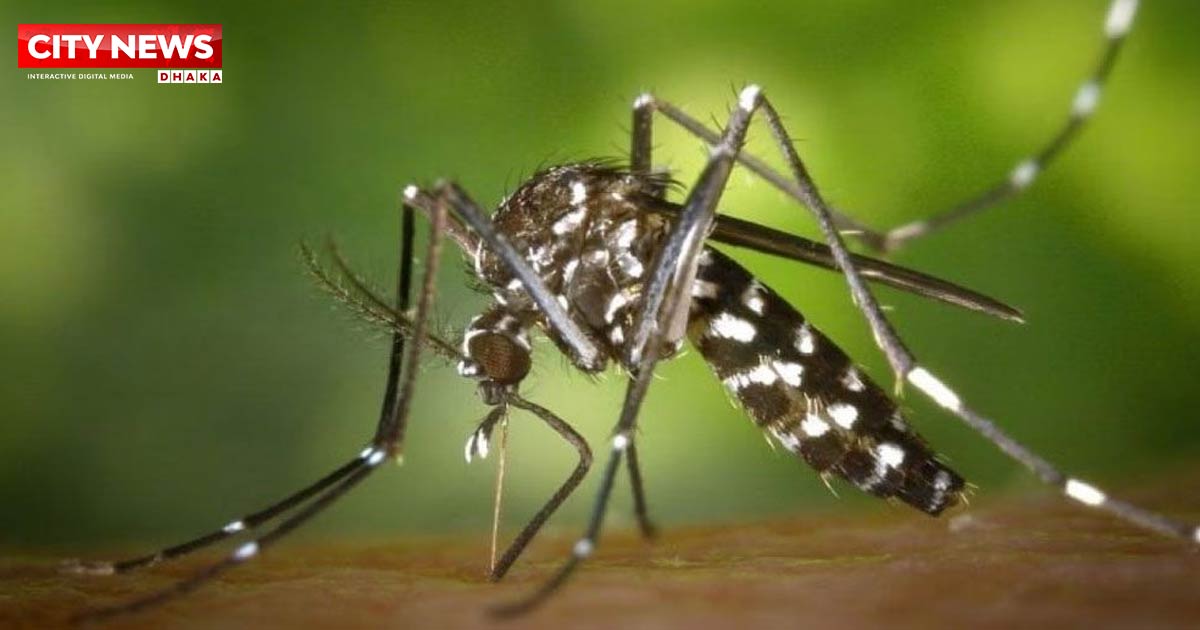 ডেঙ্গুজ্বরে আরও একজনের মৃত্যু, হাসপাতালে ৪১৬