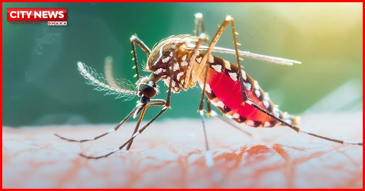 ২৪ ঘণ্টায় ডেঙ্গুতে ৩ জনের মৃত্যু, হাসপাতালে ভর্তি ১৪৬৩