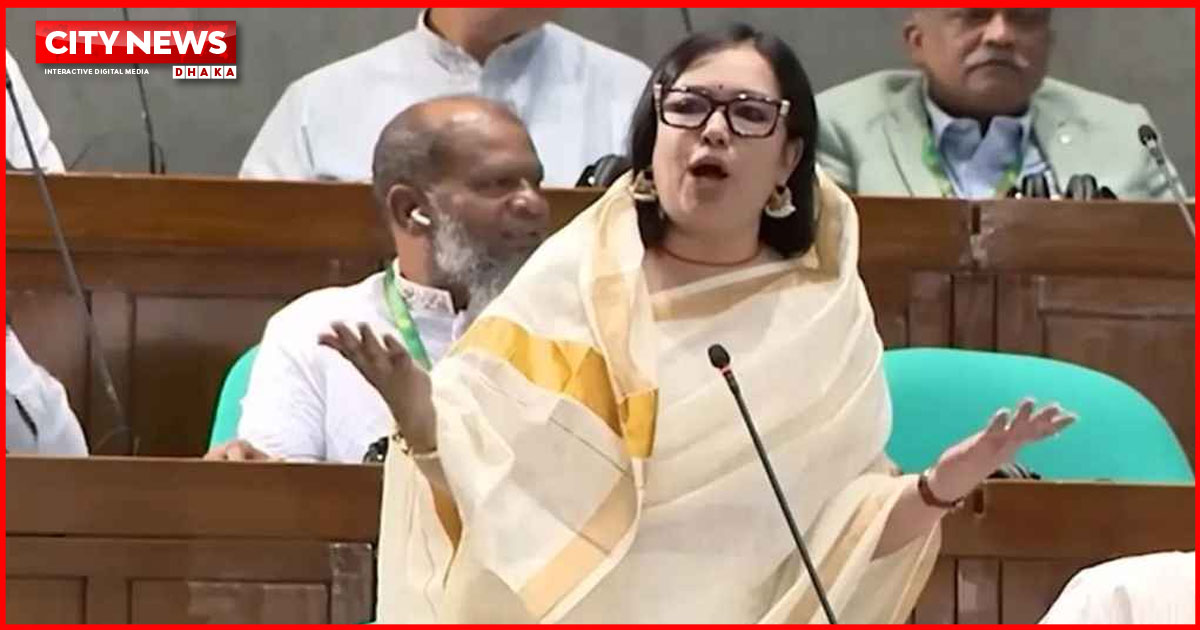 যদি জ্বালানির সংকটই না থাকে, তাহলে এত লম্বা লাইন কেন, সংসদে রুমিন ফারহানা