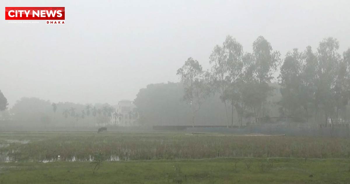 তেঁতুলিয়ার তাপমাত্রা নেমেছে ১২.৮ ডিগ্রি সেলসিয়াসে