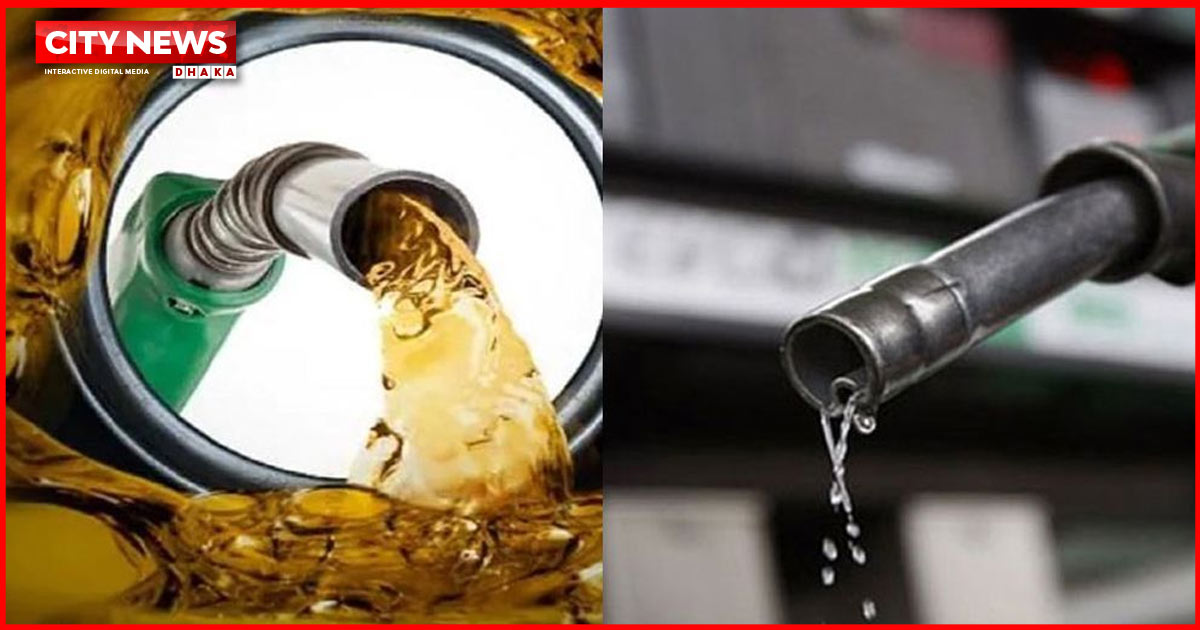 দেশে মজুদ থাকা জ্বালানির পরিমাণ জানালেন বিপিসি চেয়ারম্যান