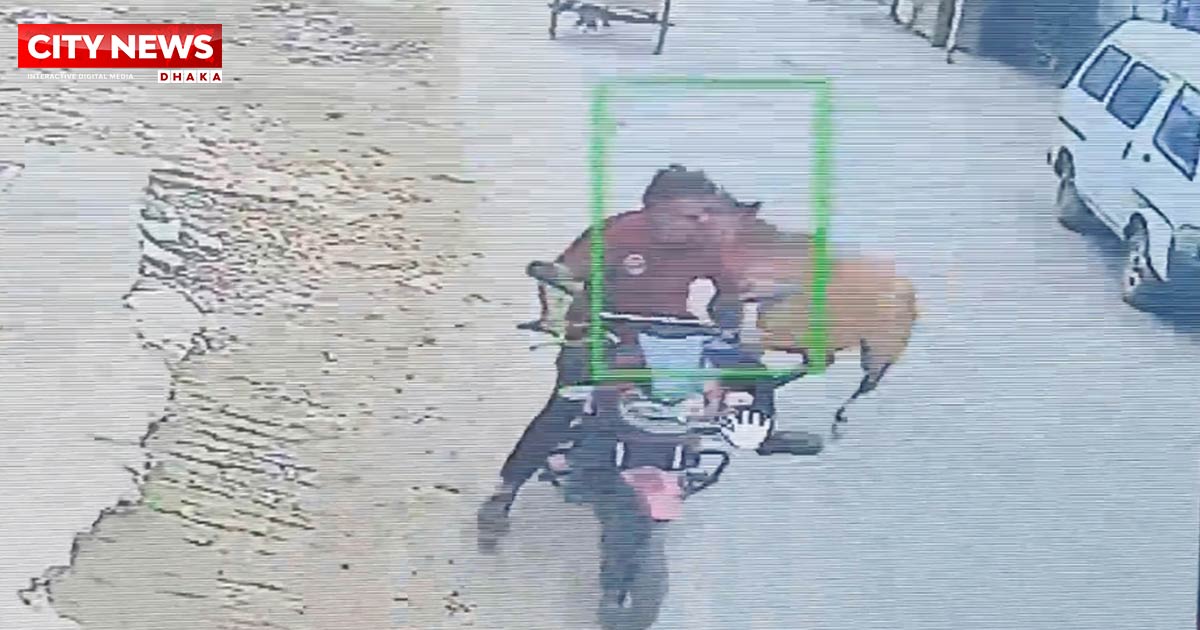 ফরিদপুরের বোয়ালমারীতে পাগলা ঘোড়ার কামড়ে ২০ জন আহত