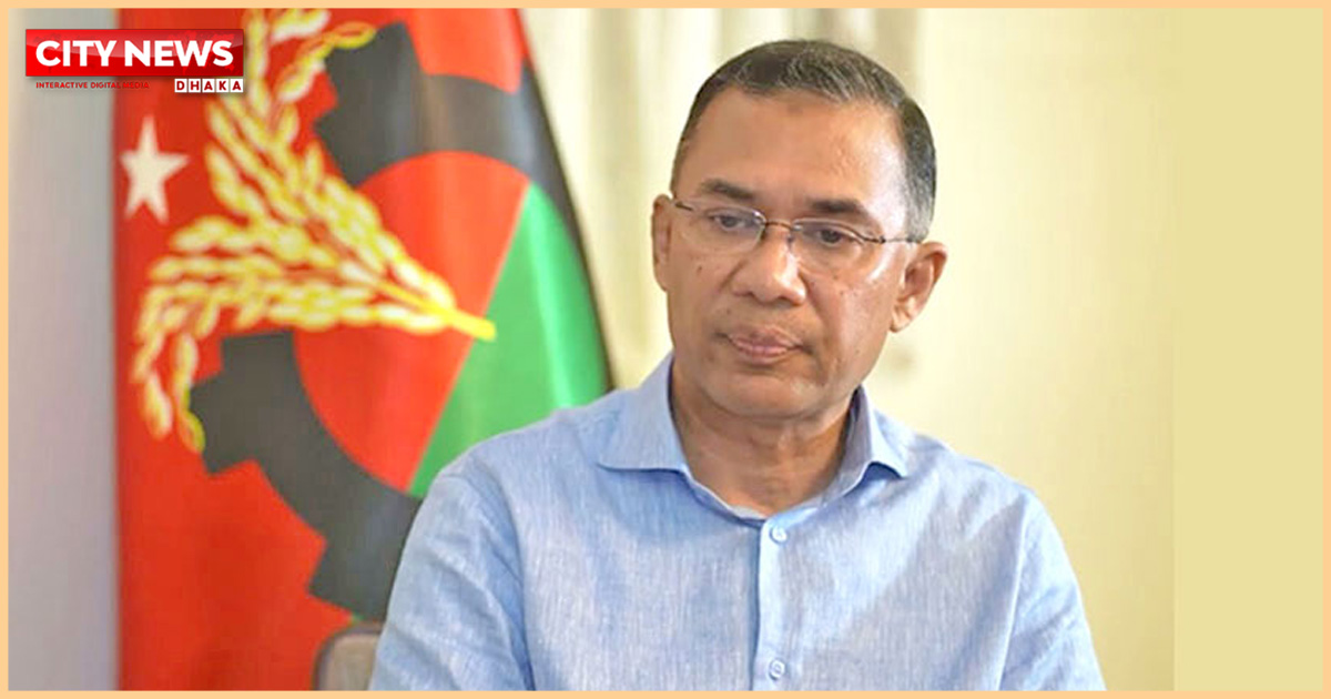 ক্ষমতায় গেলে এককভাবে সরকার গঠন করবে বিএনপি