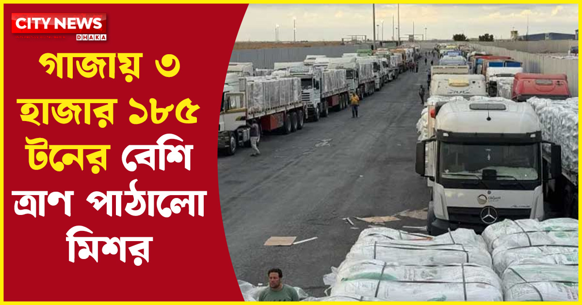 গাজায় ৩ হাজার ১৮৫ টনের বেশি ত্রাণ পাঠালো মিশর