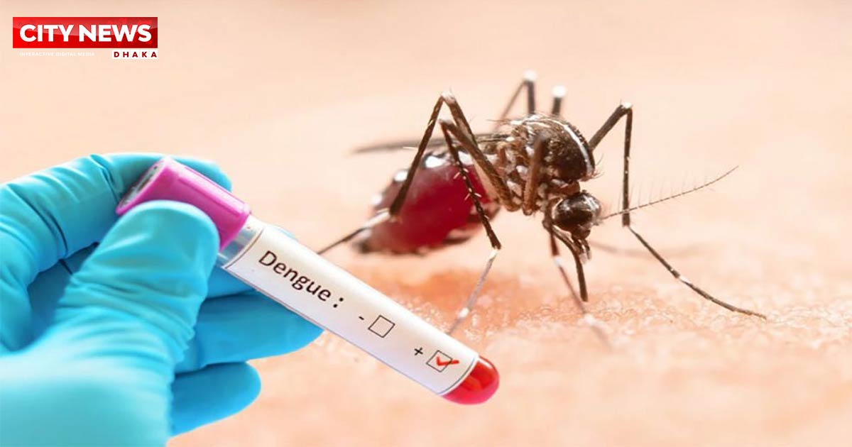 ডেঙ্গুতে আরও ৪ জনের প্রাণহানি, হাসপাতালে ৮০৩