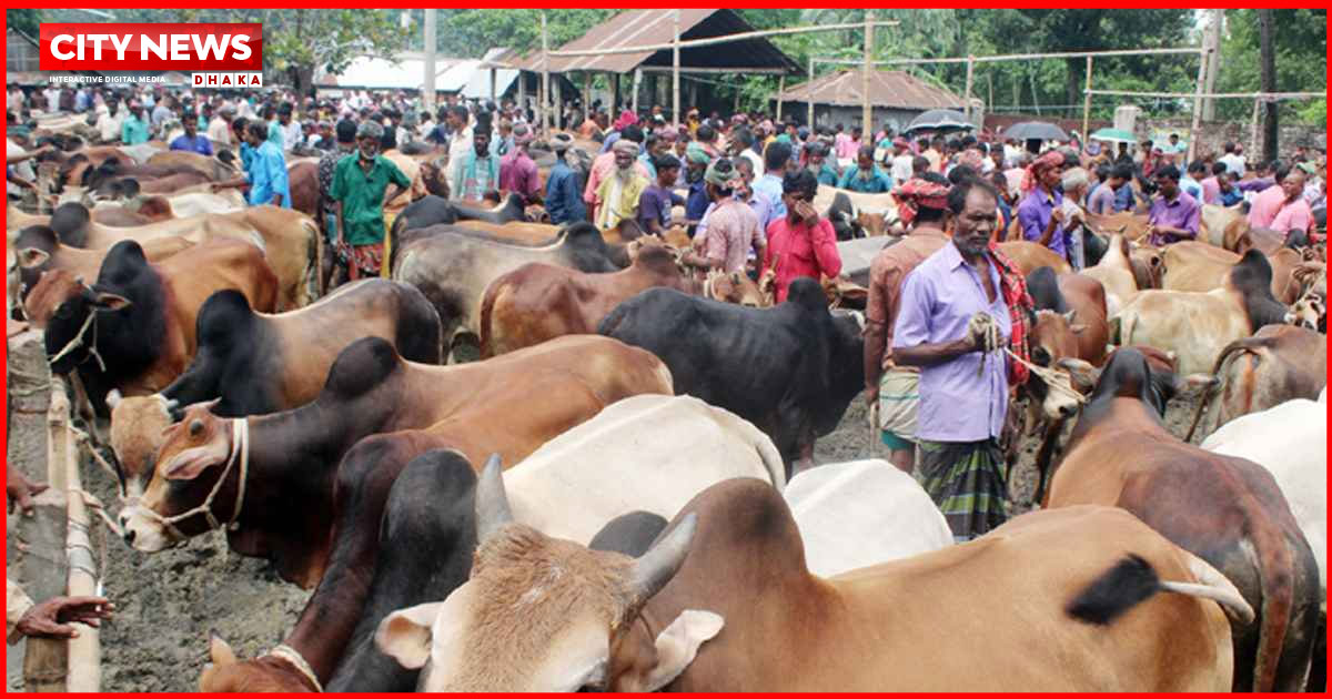 ঈদুল আজহা উপলক্ষে সারাদেশে বসছে ৩৬০০ পশুর হাট, রাজধানীতে ২৭টি