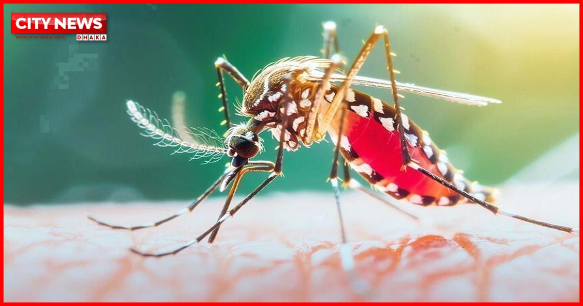 ২৪ ঘণ্টায় ডেঙ্গুতে ৫ জনের মৃত্যু, নতুন আক্রান্ত ১৪৮৪