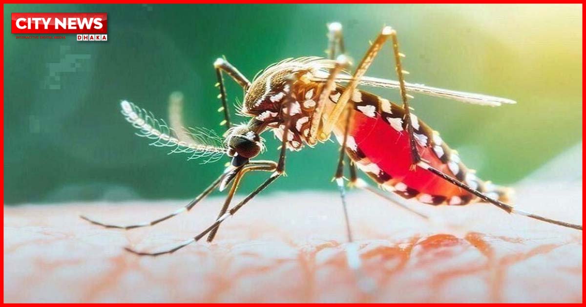২৪ ঘণ্টায় ডেঙ্গুতে ৭ জনের মৃত্যু; হাসপাতালে ভর্তি ১ হাজার ৮৭২