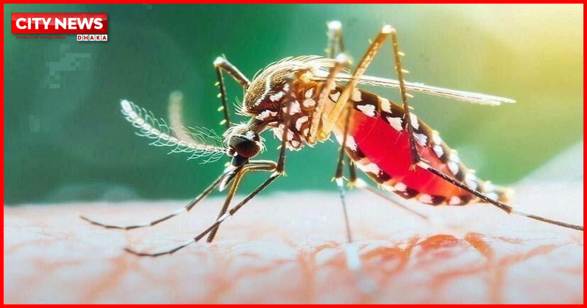 ডেঙ্গুতে ২৪ ঘণ্টায় ৭ জনের মৃত্যু, হাসপাতালে ভর্তি ১ হাজার ৩৭৩