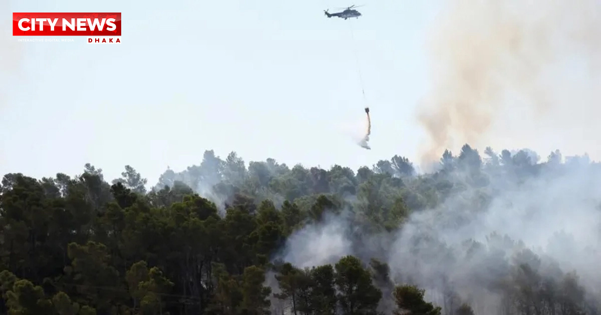ফ্রান্সে দাবানলে পুড়ে গেছে প্যারিসের চেয়ে বেশি এলাকা
