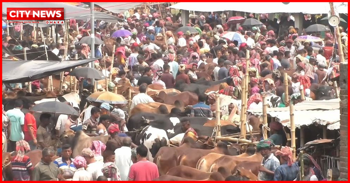 দেশে জমে উঠেছে পশুর হাট, দাম নিয়ে মিশ্র প্রতিক্রিয়া