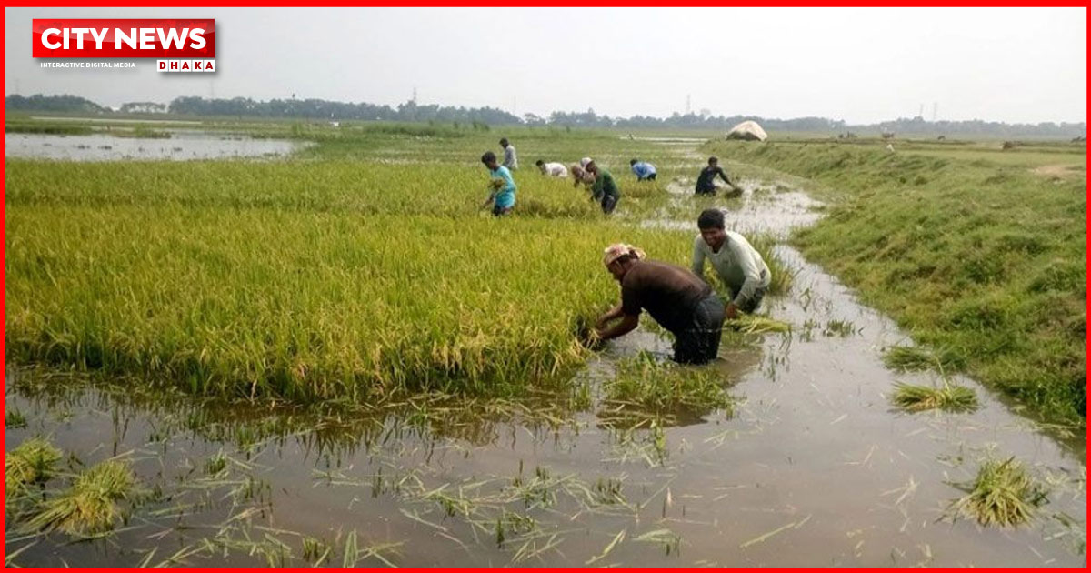 সুনামগঞ্জে বজ্রপাতে শিক্ষার্থীসহ ৫ জনের মৃত্যু