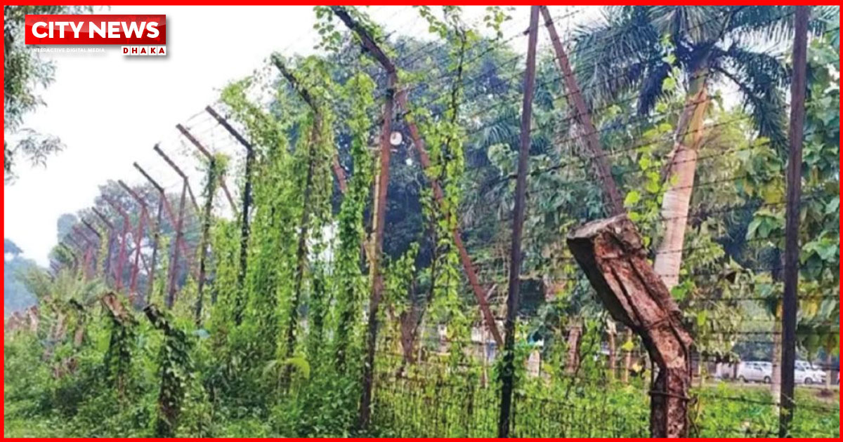 সীমান্তে বিএসএফের গুলিতে দুই বাংলাদেশি নিহত