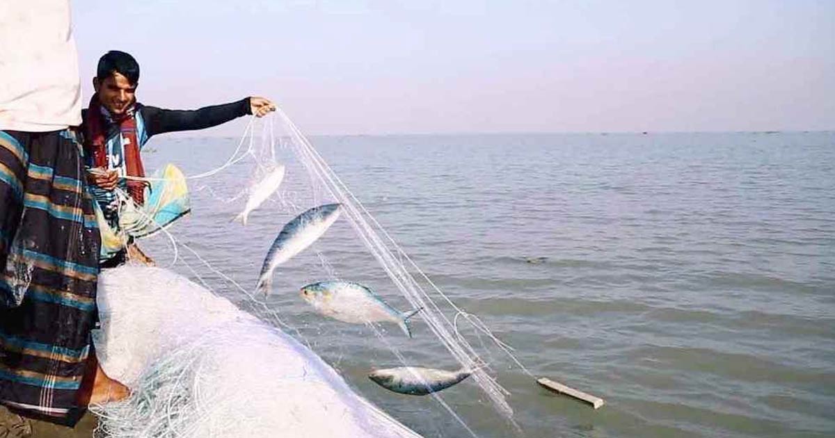 ৪ অক্টোবর থেকে ২২ দিন ইলিশ ধরা বন্ধ