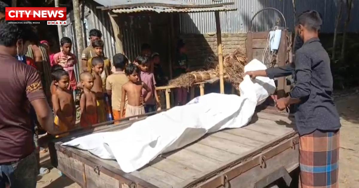 ফরিদপুরের সালথায় পারিবারিক কলহের জেরে স্ত্রীকে পিটিয়ে হত্যা: স্বামী আটক