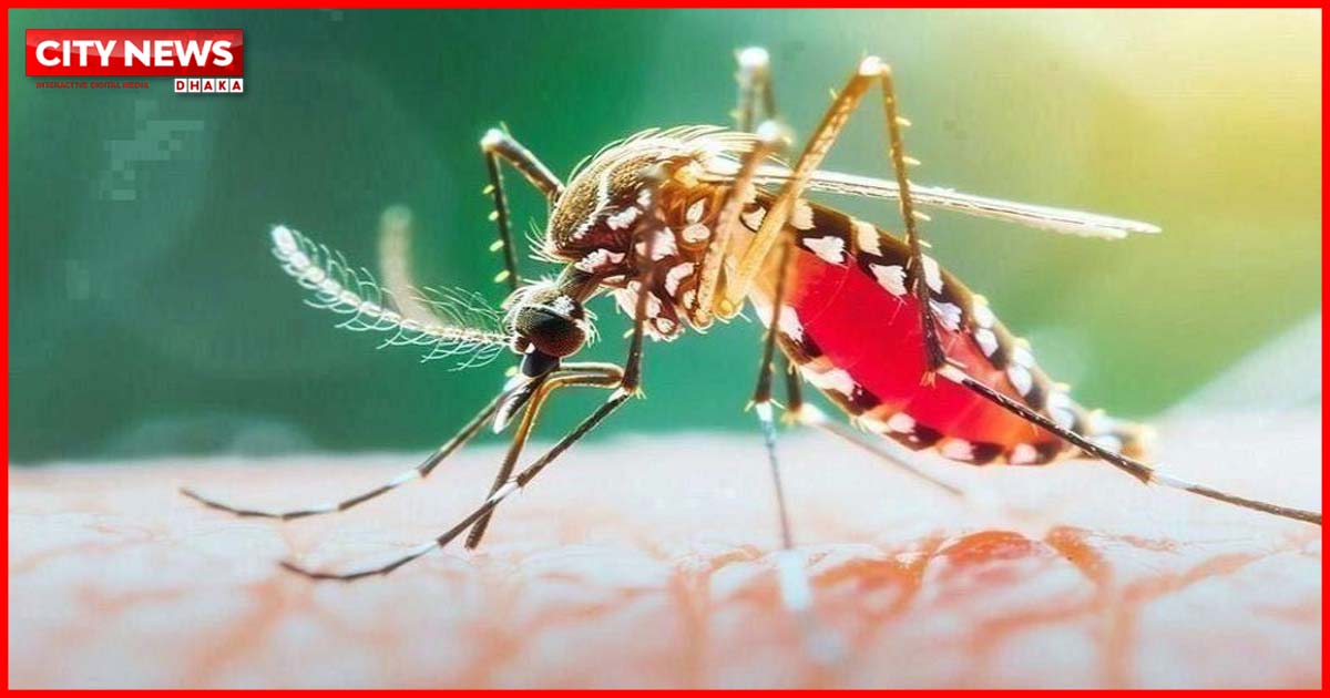 ডেঙ্গুতে একদিনে ৫ জনের মৃত্যু, হাসপাতালে ভর্তি ১ হাজার ৩৬৬