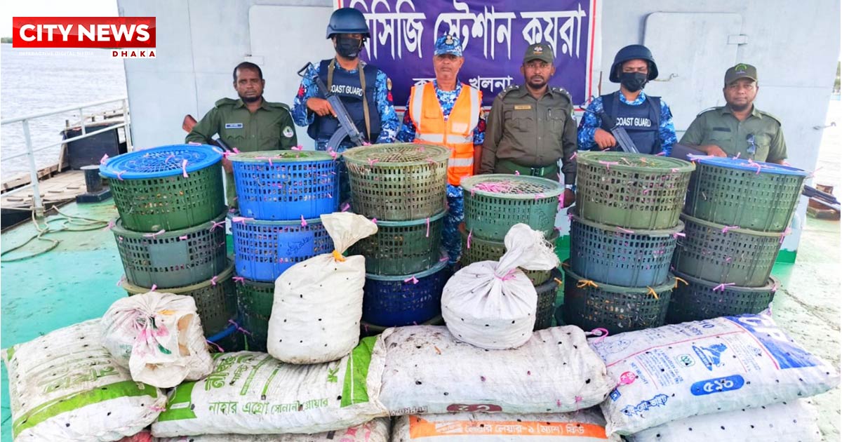 কোস্ট গার্ডের অভিযানে ৮৫০ কেজি কাঁকড়া জব্দ