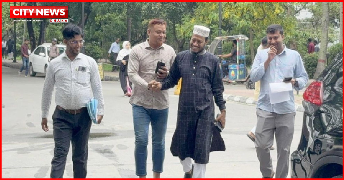 আগাম জামিন পেলেন আমির হামজা