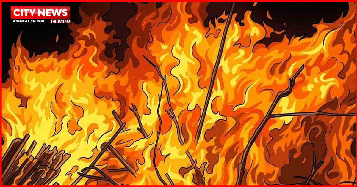 রাজধানীতে কালি তৈরির কারখানায় আগুন, নিয়ন্ত্রণে ফায়ার সার্ভিসের ৬ ইউনিট